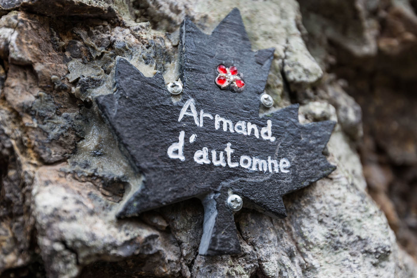 Plaque Armand d'automne