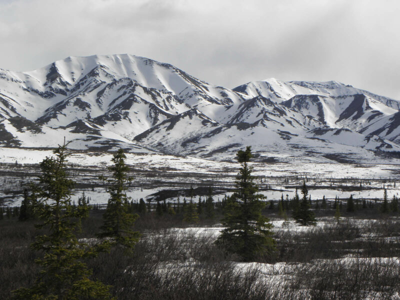 voyage Alaska 035