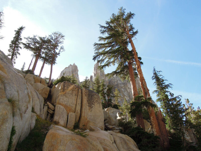 voyage high sierra californie 017