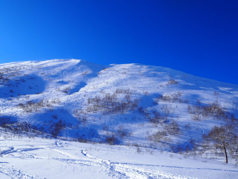 voyage hokaido japon 010