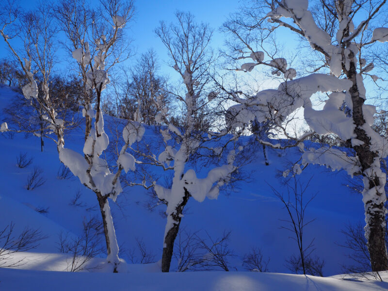 voyage hokaido japon 012