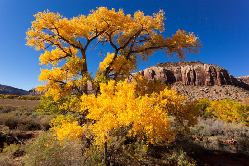 voyage indian creek utah 026