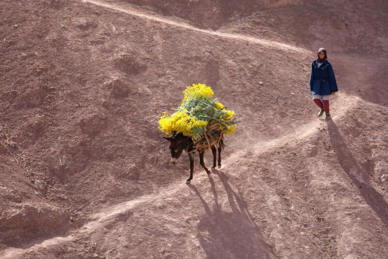 voyage taghia maroc 008