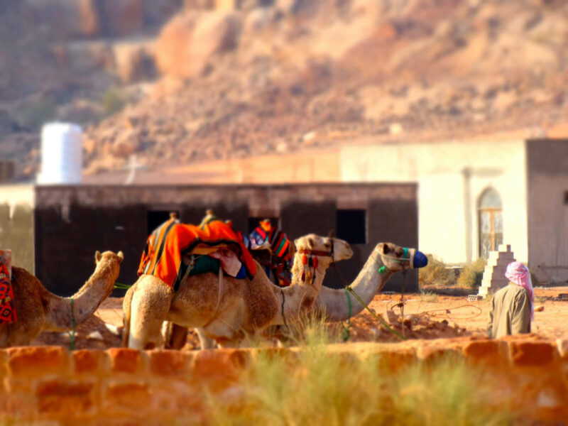 voyage wadi rum jordanie 003