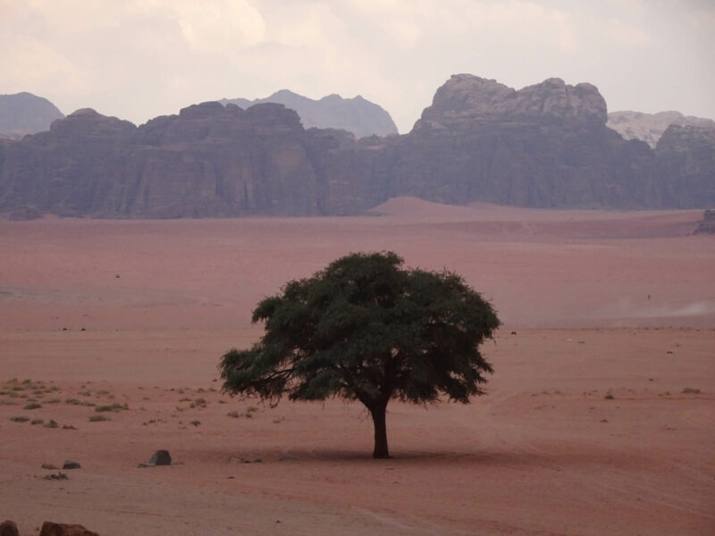 voyage wadi rum jordanie 008