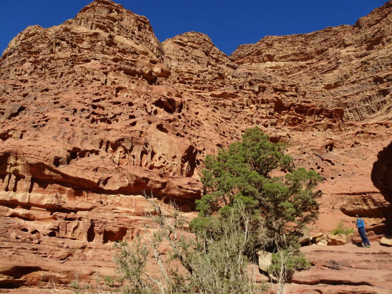 voyage wadi rum jordanie 010