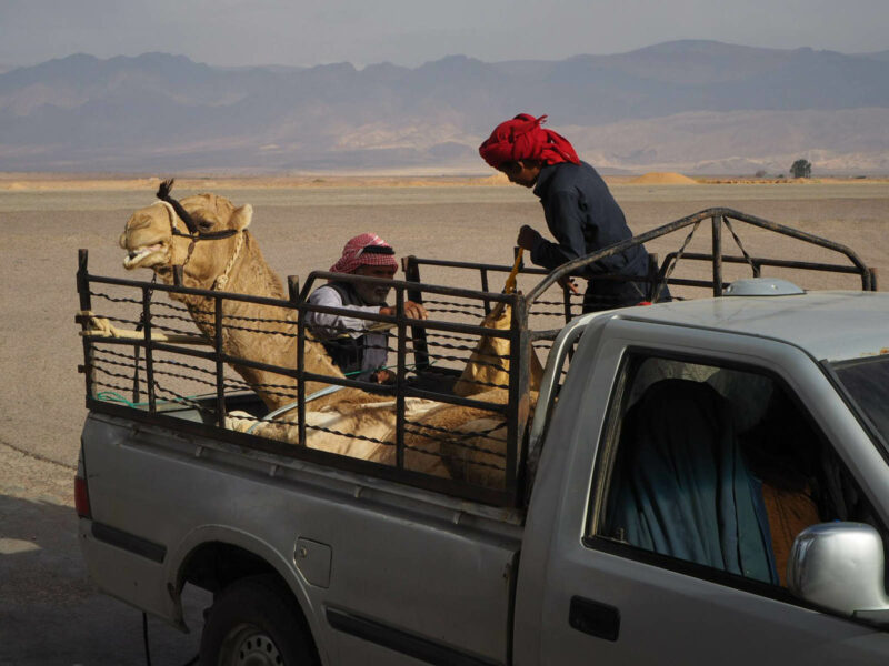 voyage wadi rum jordanie 031